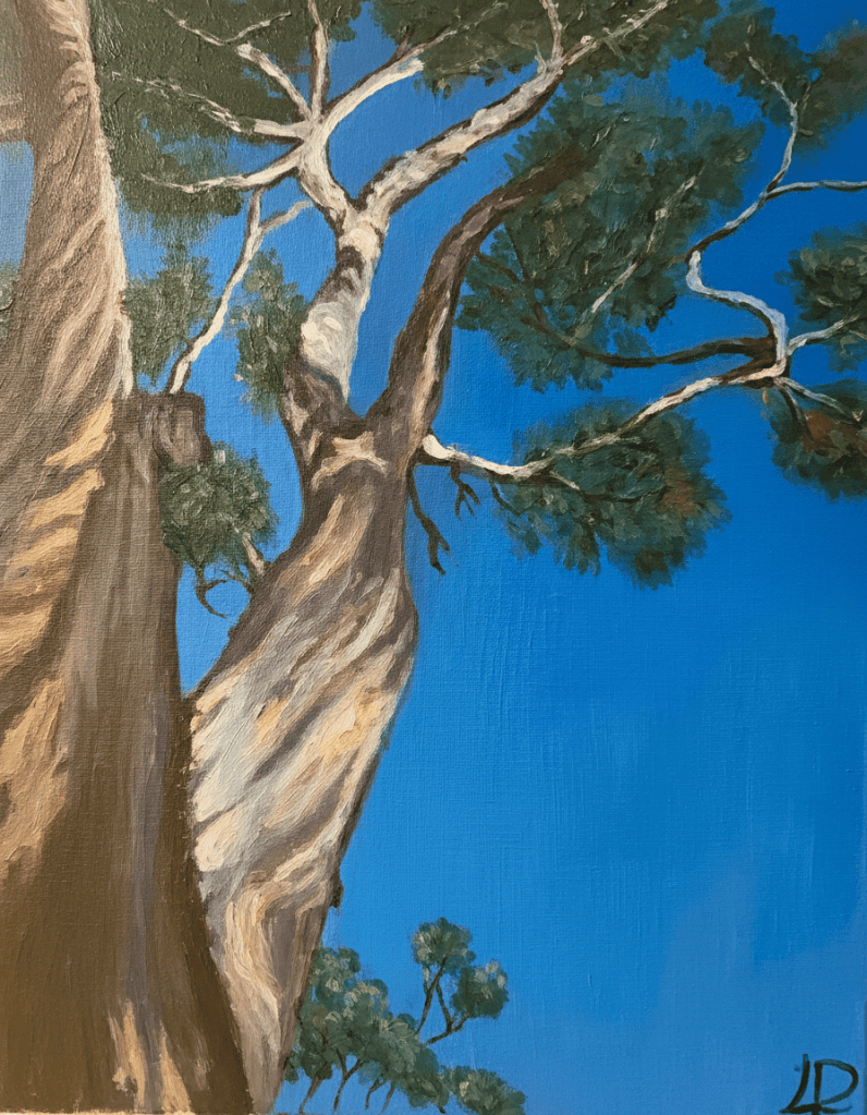 hq -7-arbres-mediterraneens-2